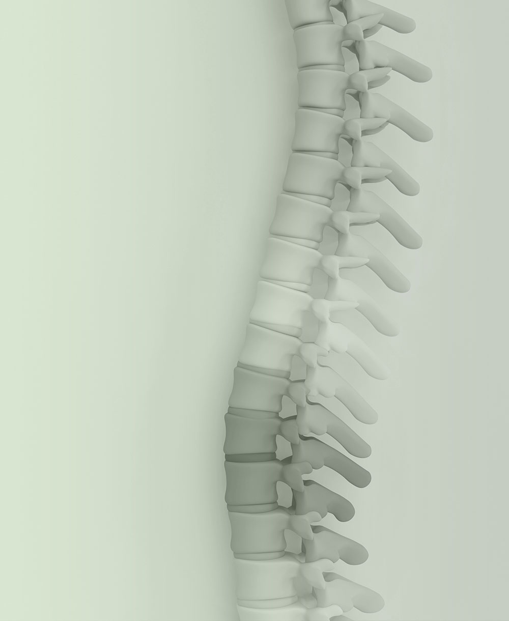 Wir erstellen Webseiten für Physiotherapien